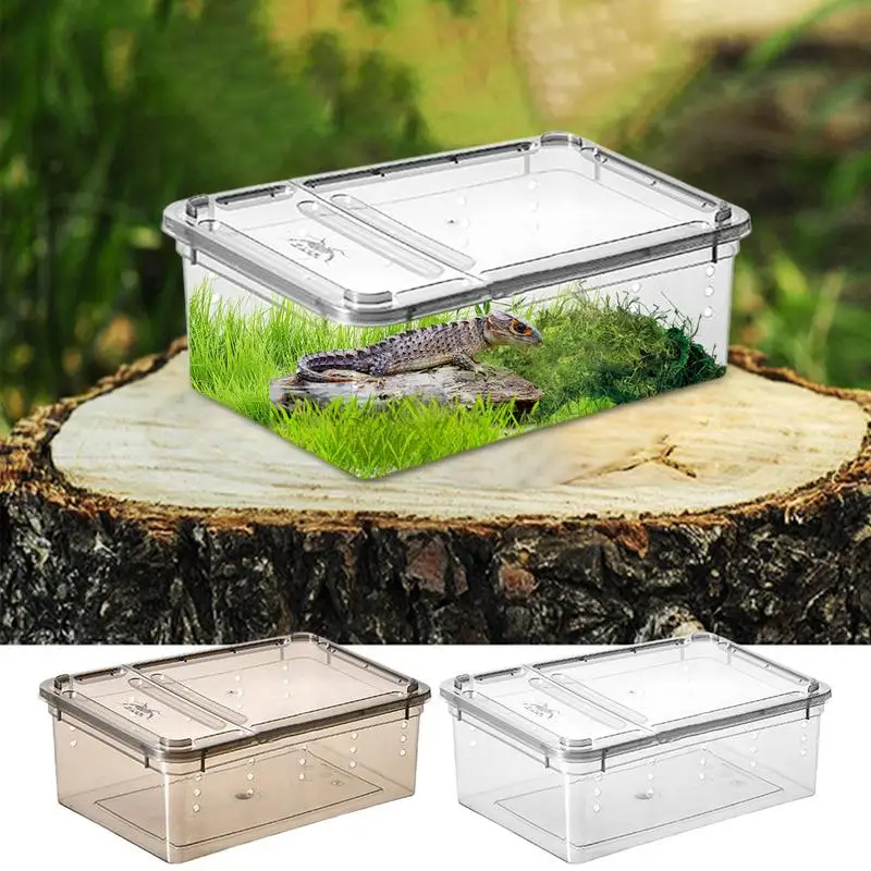 19cmx12.5cmx7.5cm Terrarium For Reptiles Spider Transparent Plastic Feeding Box Insect Food Feeding Container Terrarium Bowls