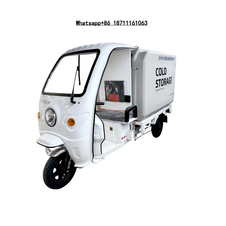 Electric Refrigerator Three-wheel Vehicle Container Double-Temperature Portable RV Outdoor Cold Chain Electric Scooter Last Mile