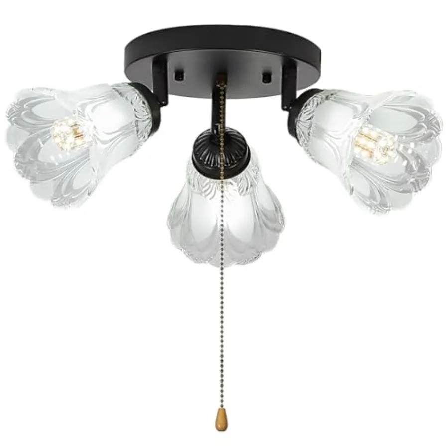 

3-Light Flush Mount Ceiling Light with Pull Chain Clear and Frosted Glass Low Profile Lighting Fixtures for Kitchen Living Room