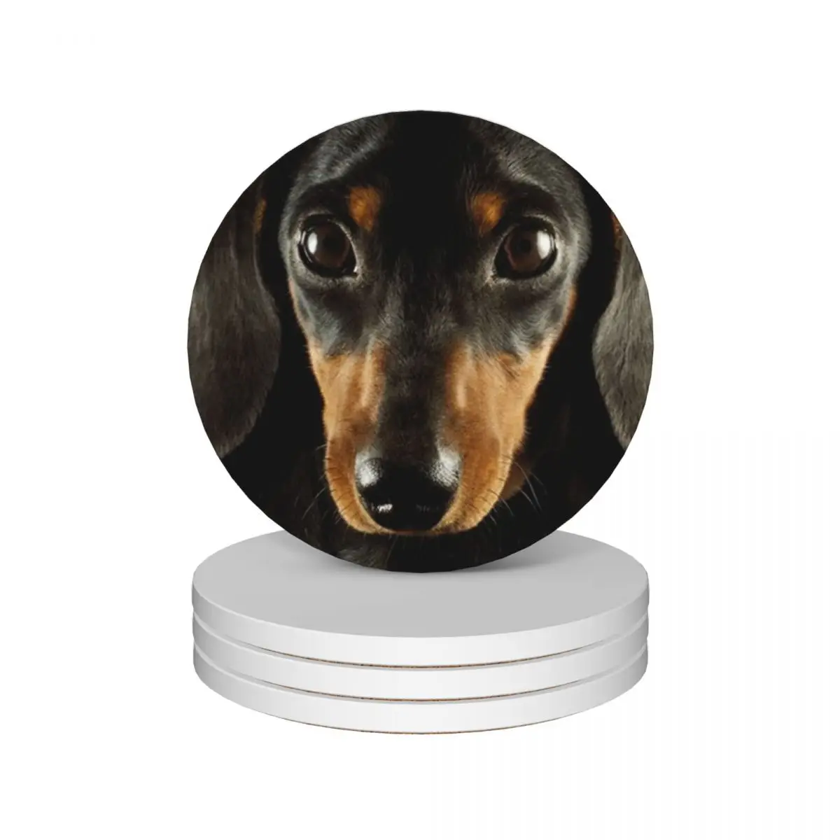 

Dachshund Dog photo portrait Ceramic Coasters (Set of 4) funny christmas tea drinks for ceramics Coasters