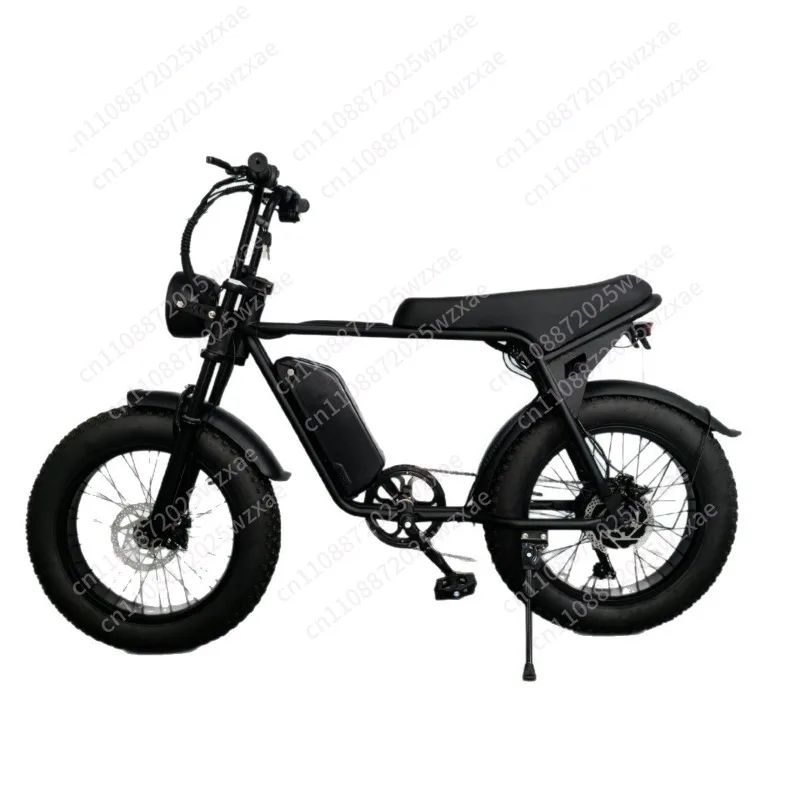 20 inch 4.0 snow beach 48V fat tire 7 gear variable speed adult off-road mountain bike