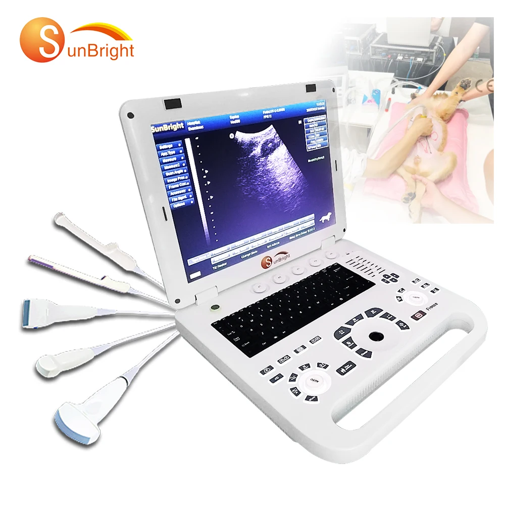 SUN-800D Veterinary Portatil Ultrasound Device For Pet Hospital Use