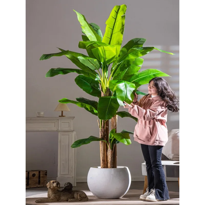 

Sen Yicheng high-end light luxury large-scale simulated plantain tree plant bionic fake tree green plant indoor living room