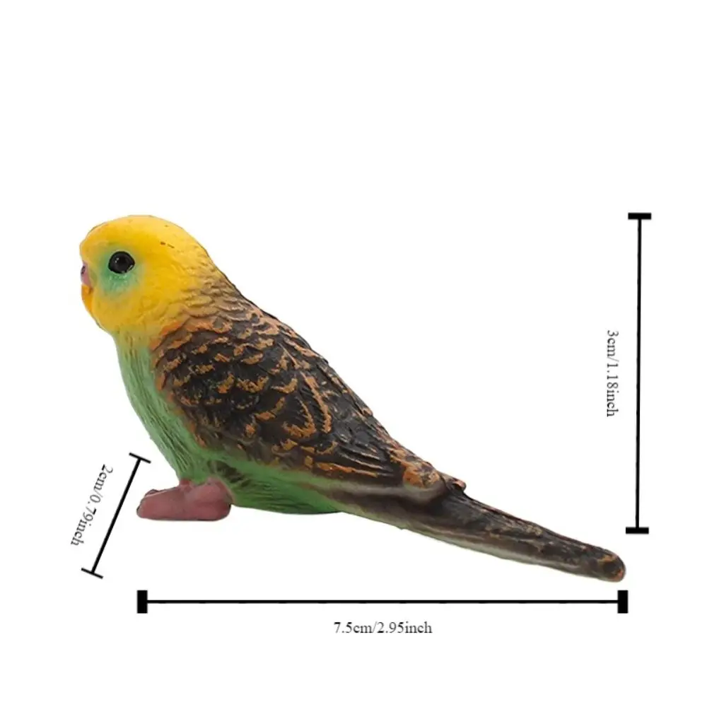 Collectible Miniatures Simulated Budgie Parrot Plastic Educational Bird Figurines Cartoon Parrot Ornament Living Room