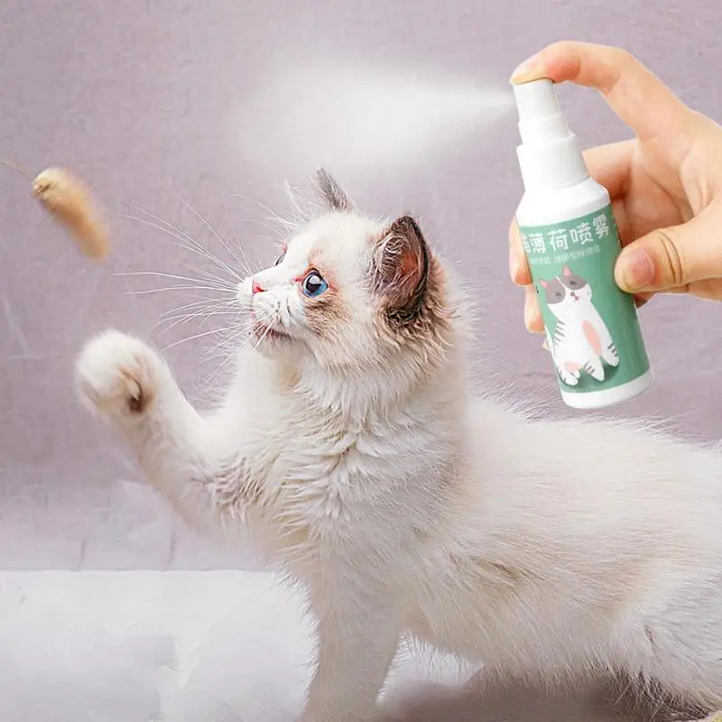 Catnip Spray For Cats Natural Maximum Potency Cat Nip Bundle High Potency Catnip 50ml Safe Non-Addictive Catnip Feline And Cat