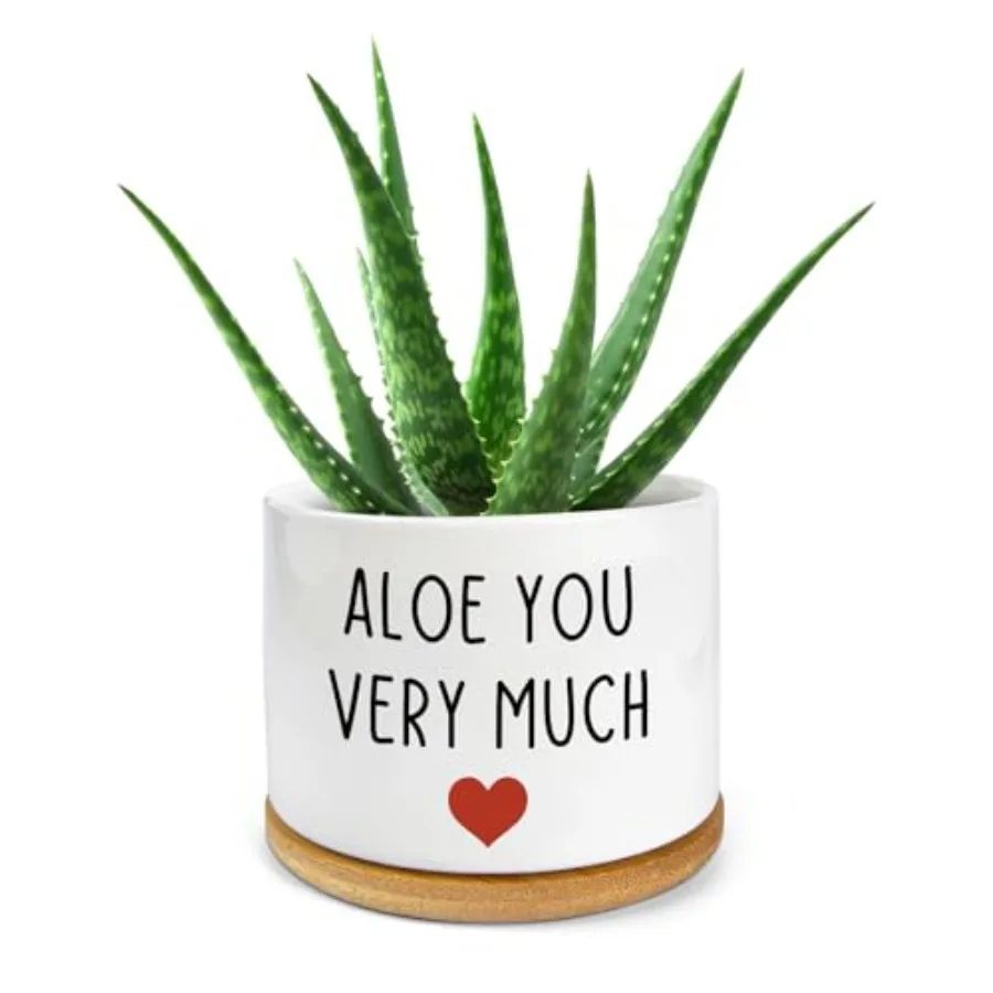 

Вы очень много белые керамические мини-сочные горшки с гравировкой из алоэ и кактуса, забавные горшки для растений, комнатные цветочные горшки для растений для дома