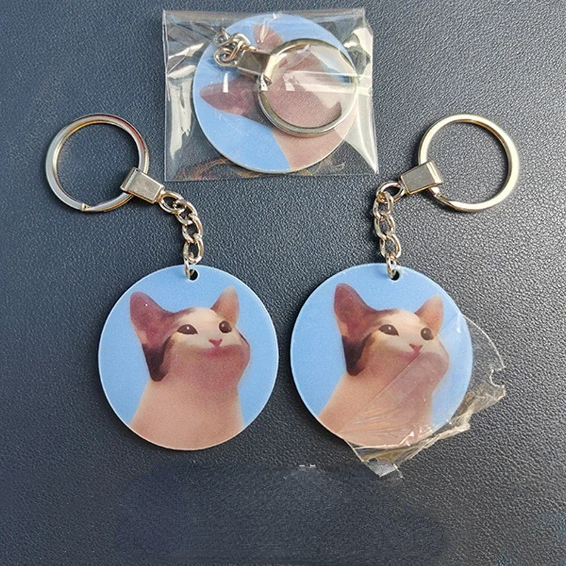 Acrylic Dynamic Cartoon Cat Keychain 1/2Pcs Creative Animal Pendant Photo Flash Transparent Grating Layer Holographic Key Chains