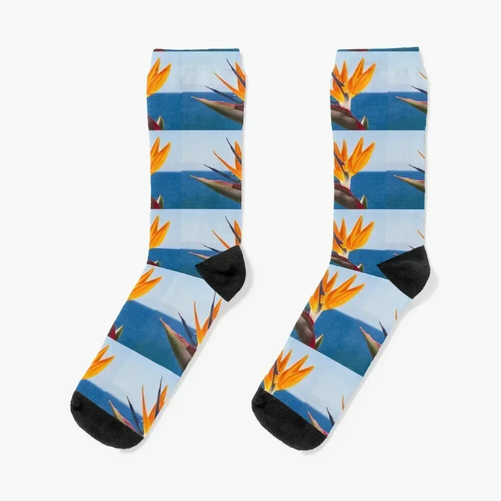 

Gift idea flower Strelitzia photo Socks happy ankle funny gifts crazy Boy Socks Women's