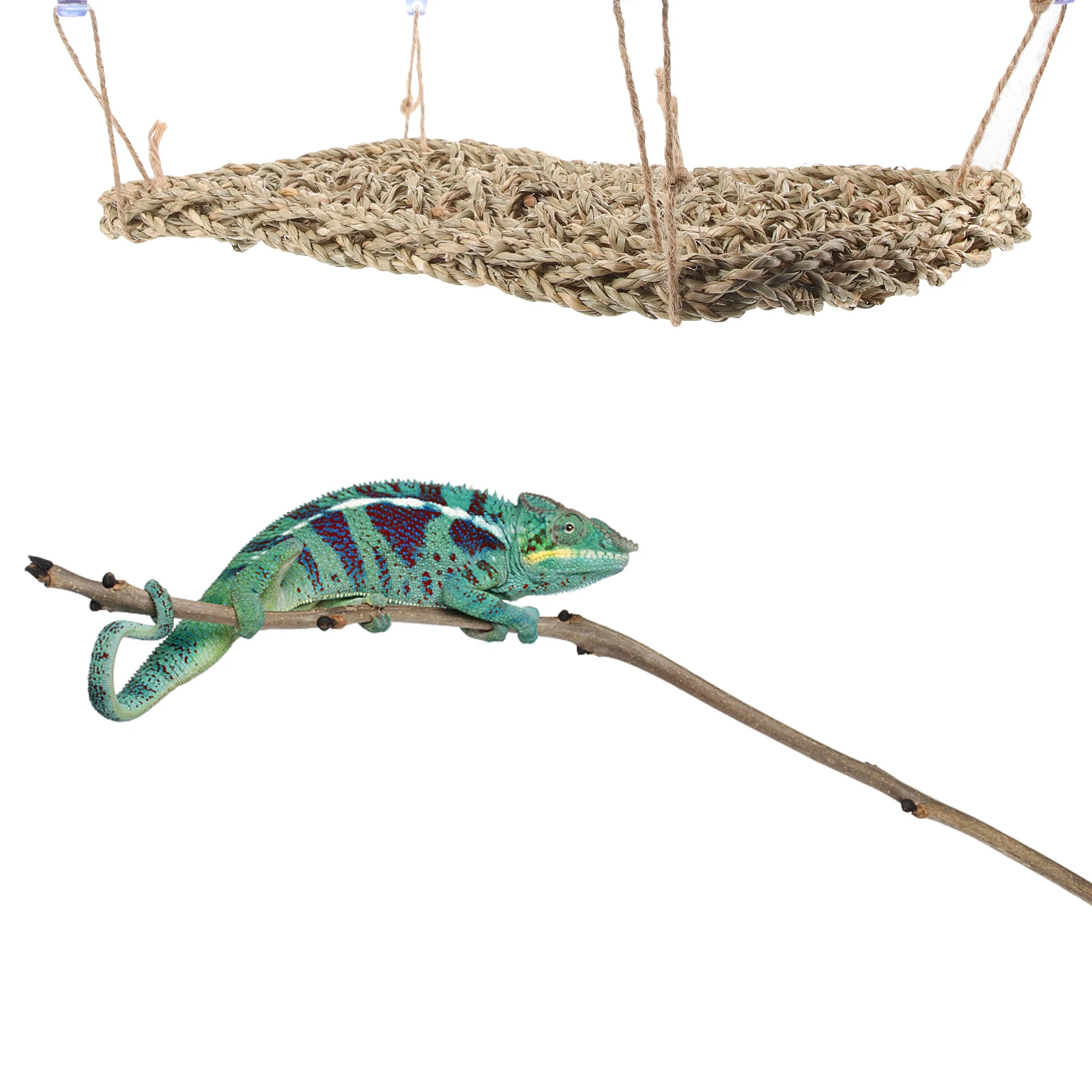 

Lizard Hammock 28 5x20 Pet Bed Suction Cups Hanging Reptile Bed Small Animals Lounger Gecko Accessories Durable Material Snake