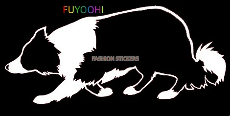 FUYOOHI Decal Border Collie Bumper Sticker Border Collie Dog Breed Stockdog Trendy Personalized Car Styling Decoration