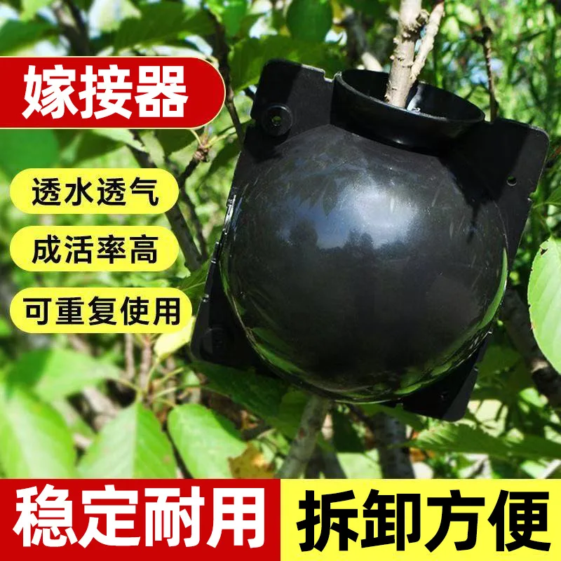 Plant High Pressure Box Black Garden Tree Grafting Rooter High Altitude Clamp Root Propagation Ball Factory Fast Delivery