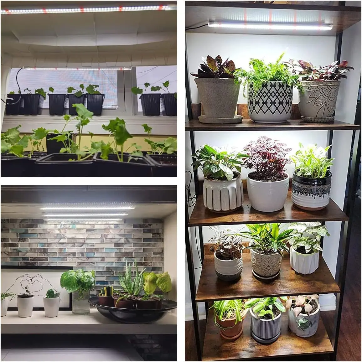 Indoor Plant Grow Light Auto Timer 3/6/12H Full Spectrum Plant Grow Light USB Dimmable Sunlight Red and Blue Light for Greenhous