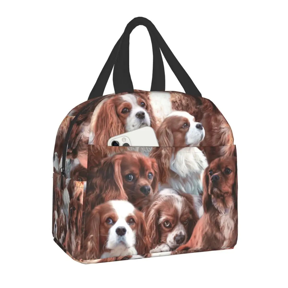 Cute Dog Cavalier King Charles Spaniel Isolados Térmicos Lunch Bag Mulheres Resuable Lunch Container para o Trabalho Escola Viagem Piquenique