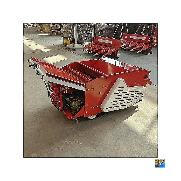 Smart Greenhouse Seeding Transplanting Equipment Automatic  for Pepper Tomato Eggplant Seedling Precision Planting