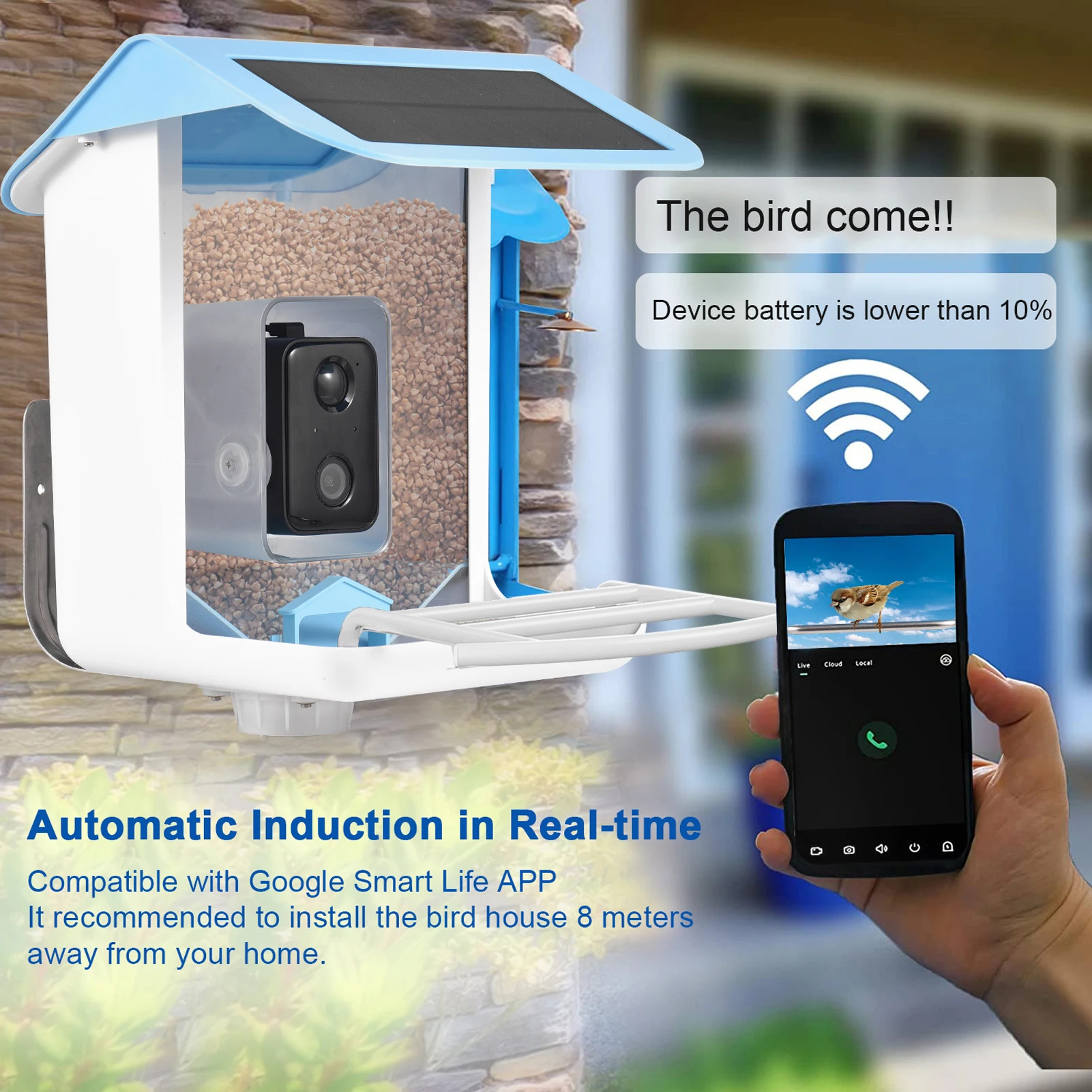 

Solar Smart Bird Feeder with Camera 1080HD Night Vision Camera AI Recognition Bird Species Feeder Connection Auto Capture