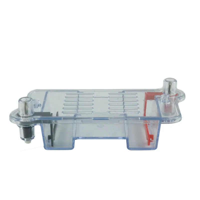 Horizontal Electrophoresis Tank Gel Experiment Biological Teaching Instrument High School