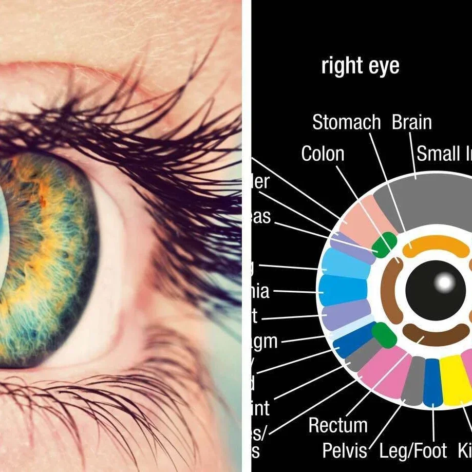 IBOOLO DE-400 Optical iridology  iris scope scanner  Easy to use iridology