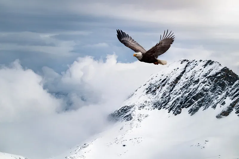 

UdiRC 1610S 1/16 4WD Brushless RC Off-Roader - 2.4G, Big Tires Rock Climbing