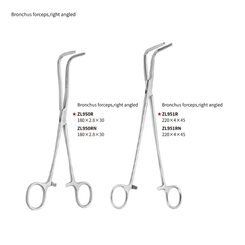 SHINVA Cardiovascular Trachea Forceps Cardiac Thoracic Bronchus Forceps