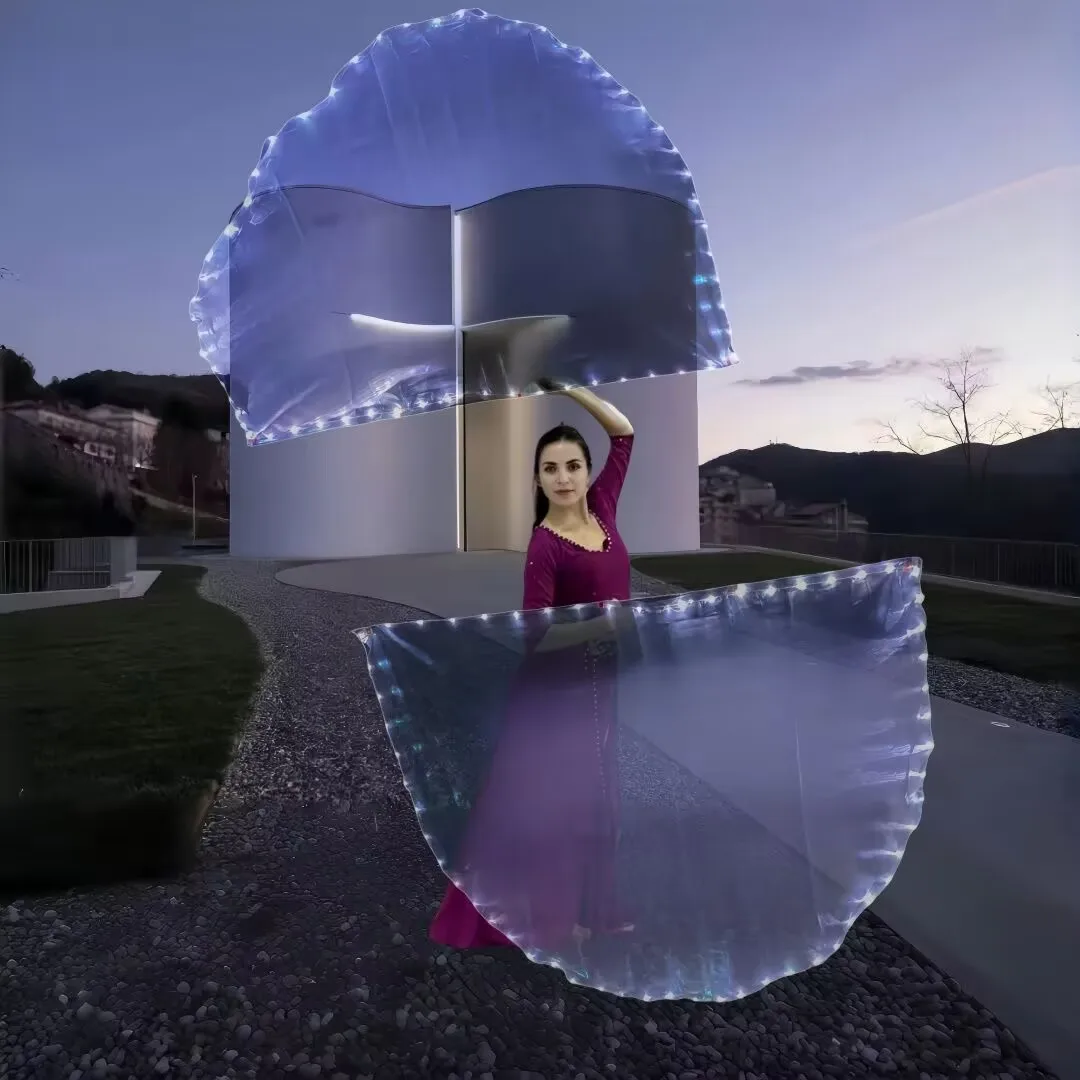 Belly Dance Led Fla…