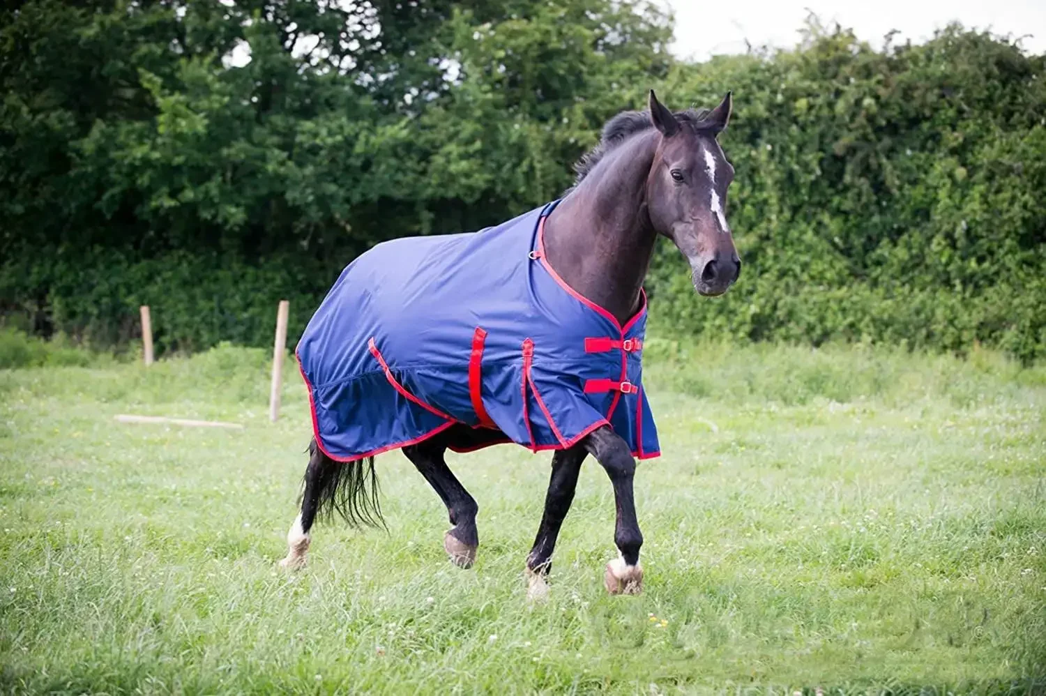 High Quality Equestrian 600d Waterproof Breathable Turnout Horse Rug, Horse Racing Supplies Horse Blanket