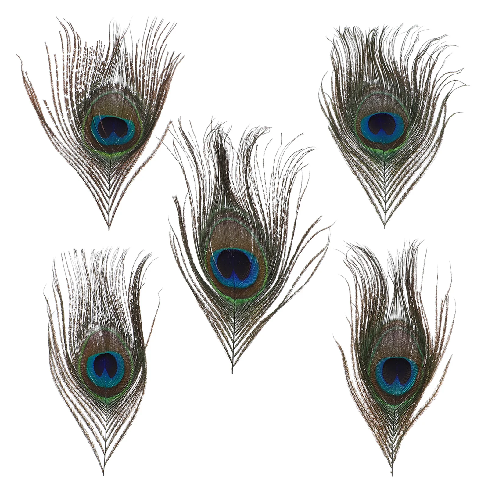 

5Pcs Decoration Materials Craft Plumes Wedding Props Party Decor DIY Accessory Vivid Handicraft Plume Making