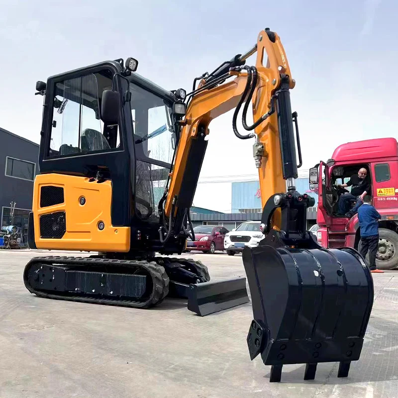 تخصيص حفار صغير الزاحف Laidong المحرك 1.8 طن آلة حفارة ريترو صغيرة السعر للبيع حفارة صغيرة