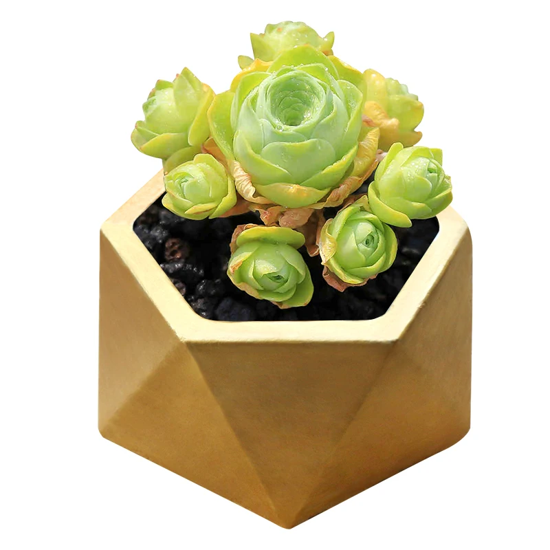 1PCS Succulent Cement Flower Pot Mold ABS Potted Model Concrete Green Plant Hexagonal Can Repeated Use For Home Decorate