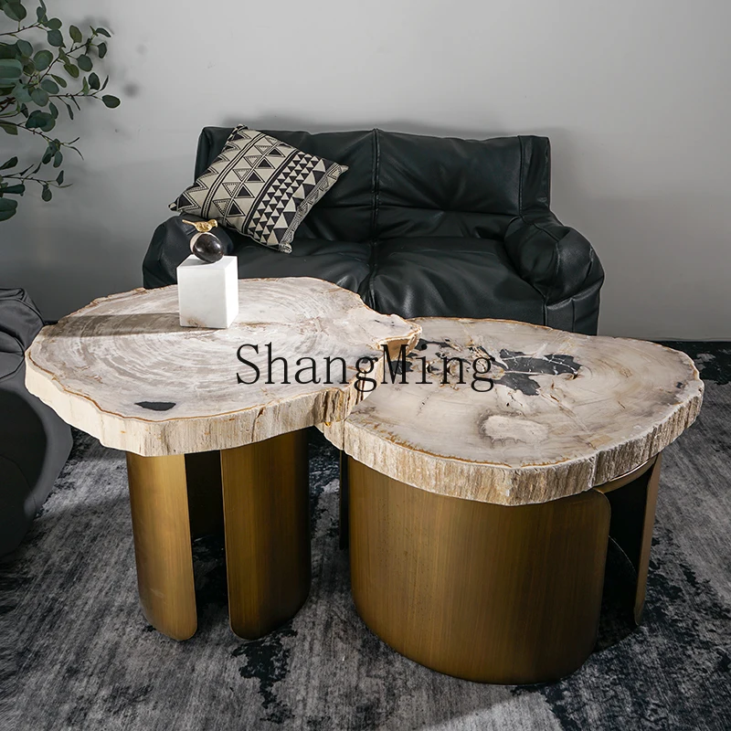 

CL Modern Minimalist Coffee Table Set Natural Wood Billion-Year Silicified Wood Stone Table Outdoor Courtyard