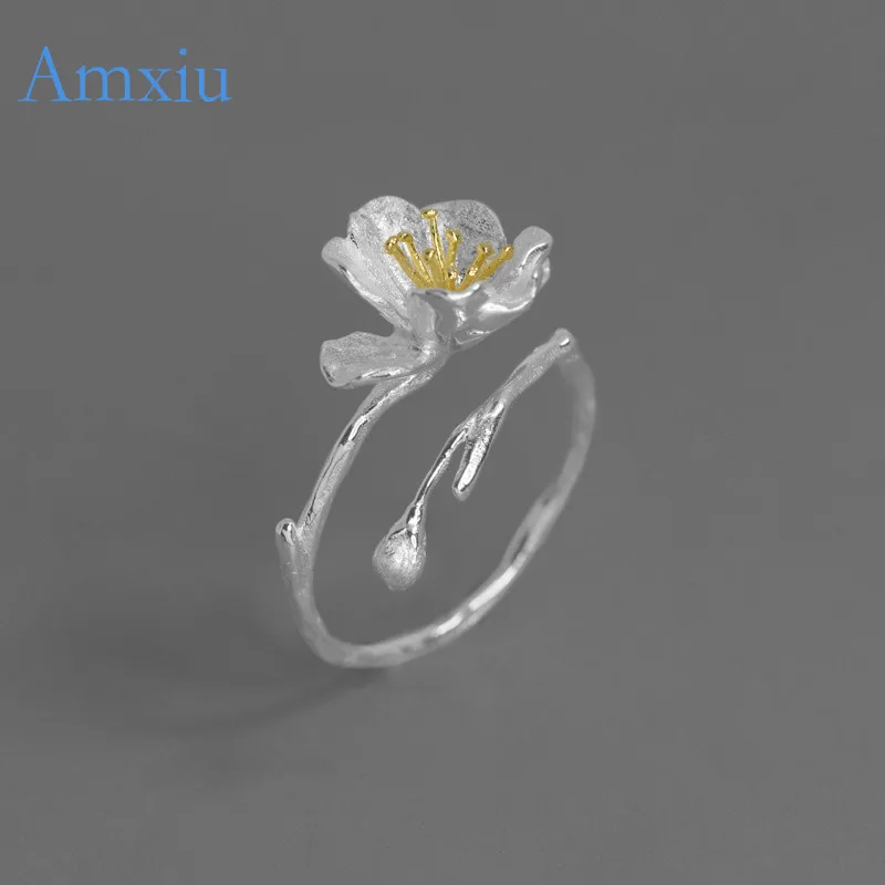 Amxiu  