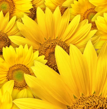 

Intelligent Cigarette Case Timing Lock with LED Display Quit Smoking Control Device Aluminum Alloy Self-Discipline Lock Box