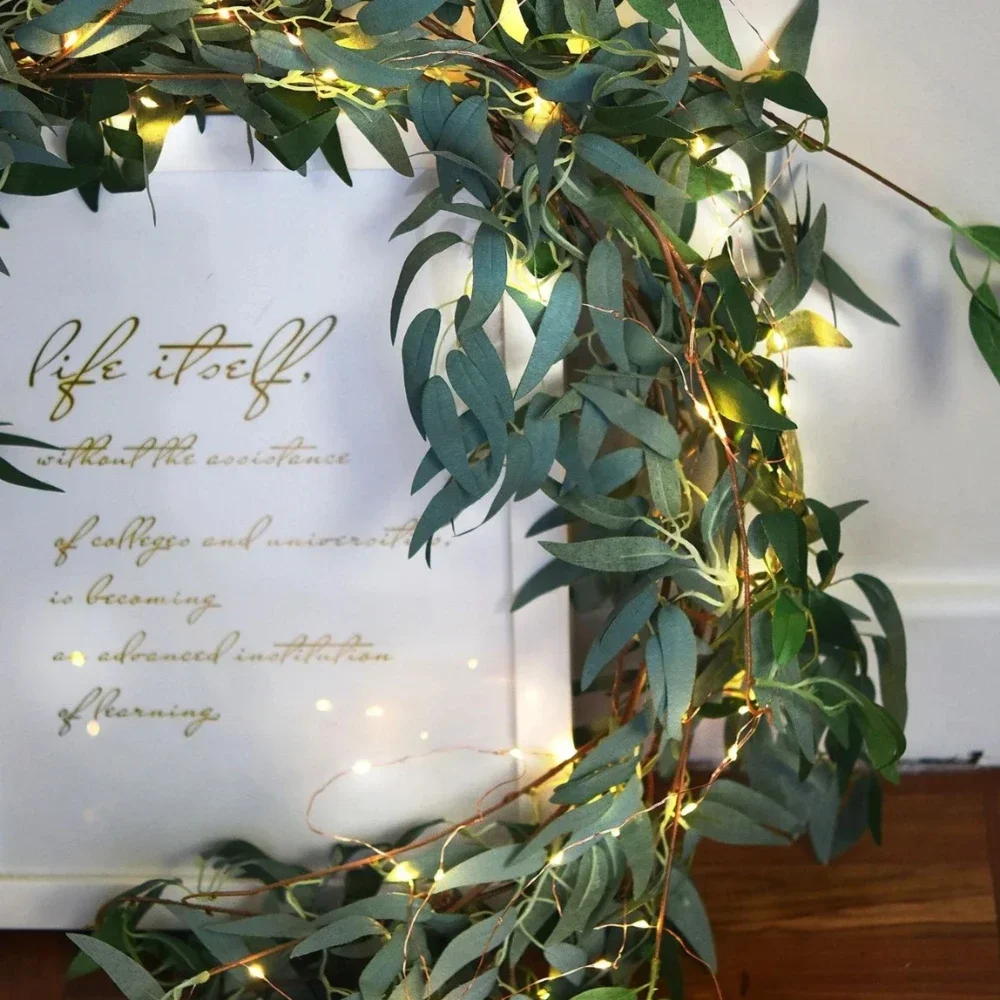 2/3/5/10M LED String Light Copper Wire USB/Battery Powered Fairy Lights Holiday Outdoor Lamp Garland Xmas Wedding Party Decor