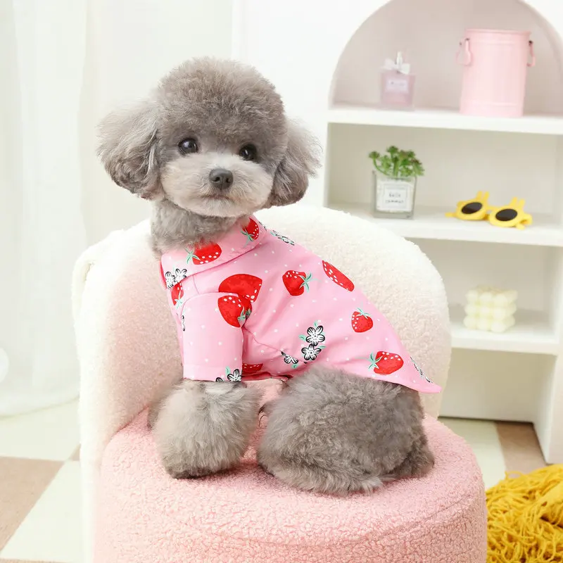 Roupas de verão para cães, camisa para gatos, pomeranian, shih tzu, poodle, yorkshire, schnauzer, bichon, chihuahua, maltês, roupas