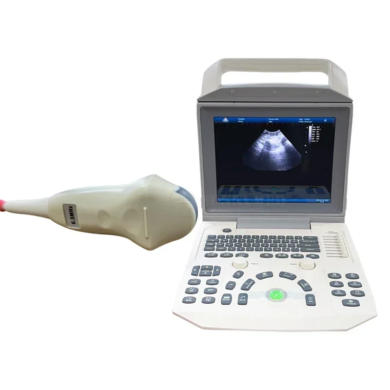 رخيصة ودقيقة SYA-150_Vet الرقمية البيطرية الحيوانات الأليفة الماسح الضوئي بالموجات فوق الصوتية سعر عربة المحمولة الحيوان الطبيب البيطري الموجات فوق الصوتية المبيعات الساخنة
