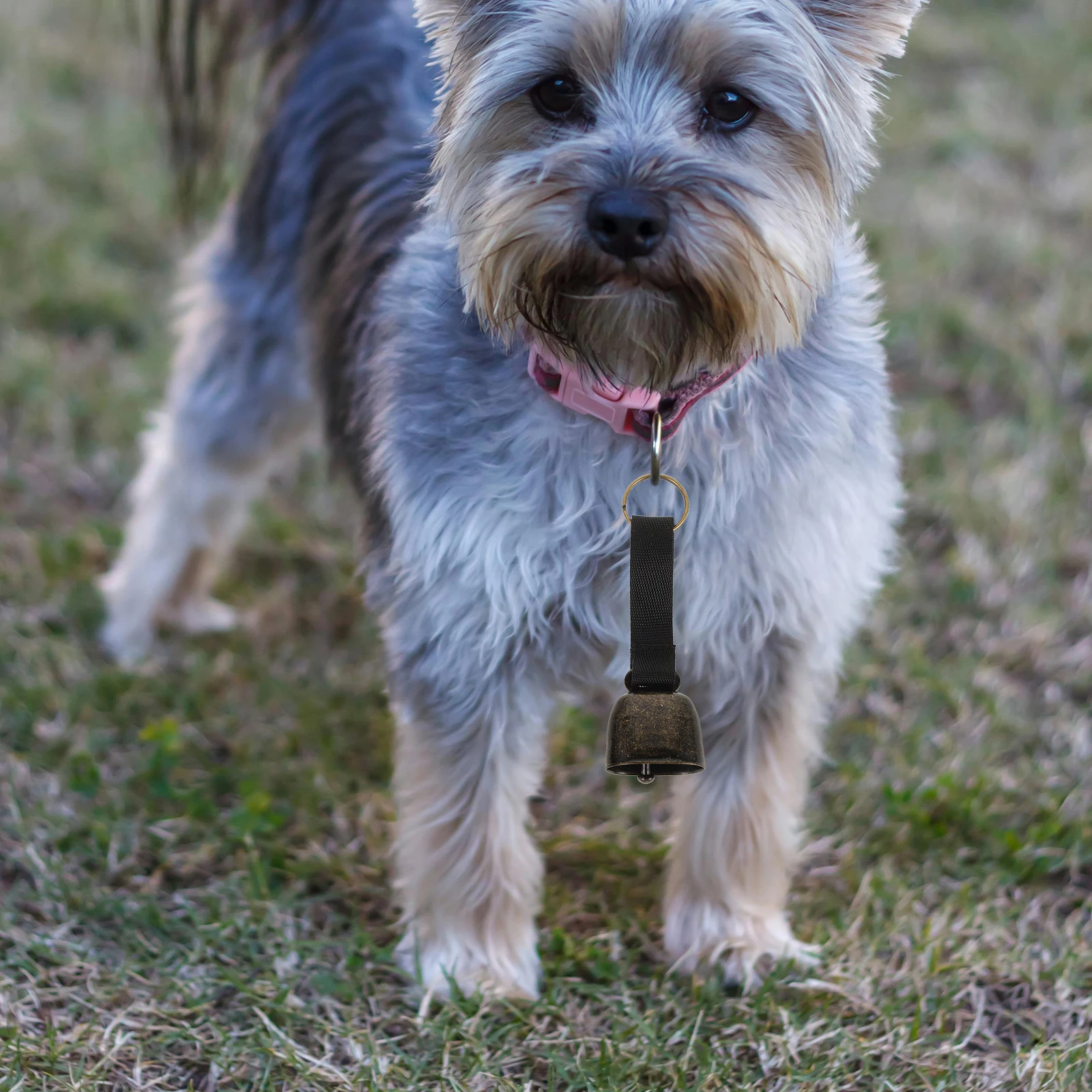 2 Buah Lonceng Pelacak Hewan Peliharaan, Lonceng Beruang yang Keras, Lonceng Webbing Luar Ruangan dengan Gesper, Lonceng Kecil untuk Kalung Anjing, Anti Maling, Pembuat Suara untuk Hiking
