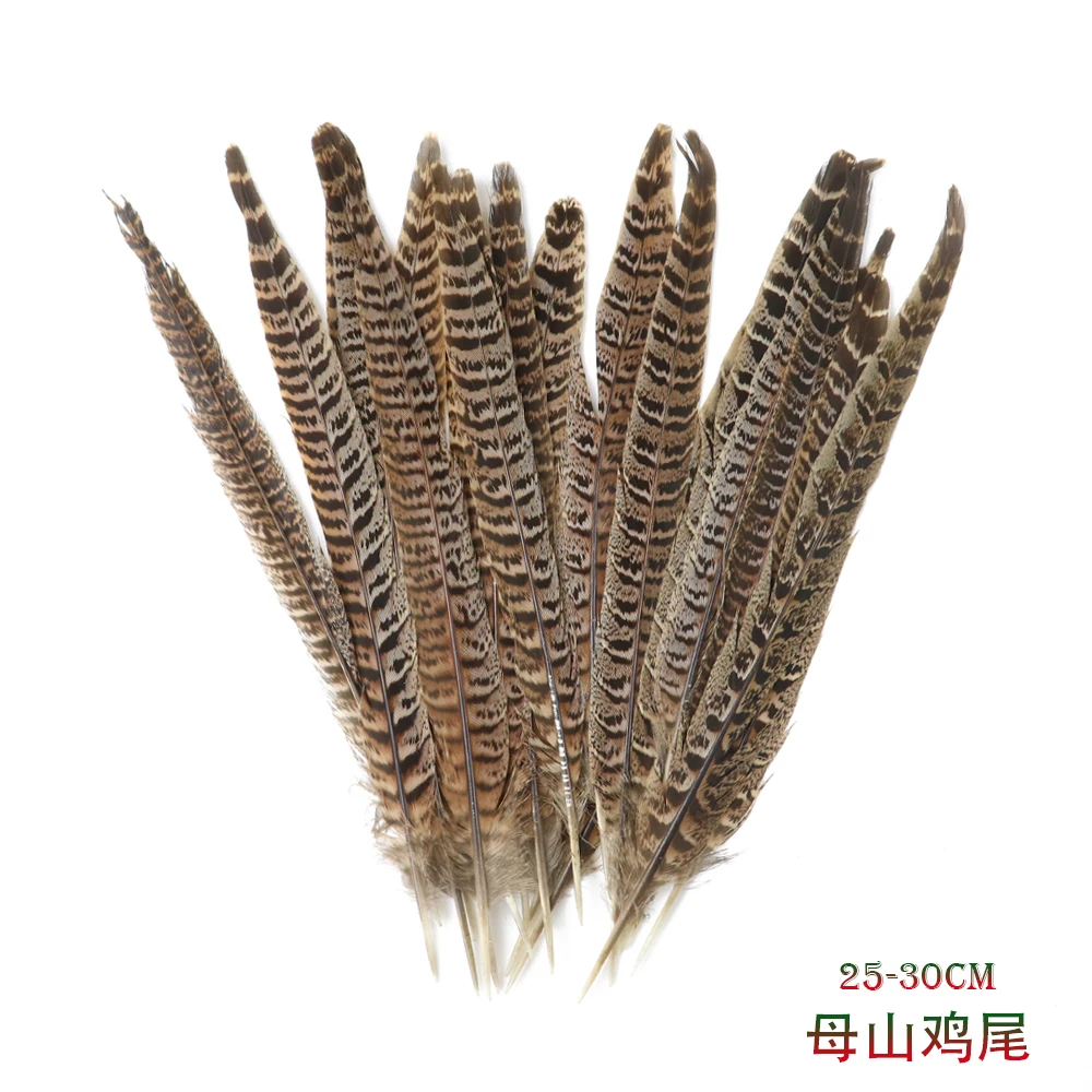 10 قطعة 25-30 سنتيمتر الدجاجة الطبيعية الدراج الذيل الريش جميلة جميلة أعمدة Diy بها بنفسك غطاء الرأس المهرجانات مجوهرات إبداعية الحرف اليدوية