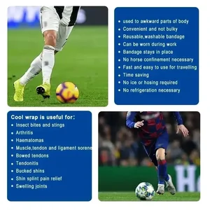 Selbstadhäsive Eisbandage mit sofortiger Kühlung, Eisband für Muskelwiederherstellung, Kühl- und Komprimierungsband für Sportler und Erwachsene 10 Hauptverkäufe komprimiert Eis - №1