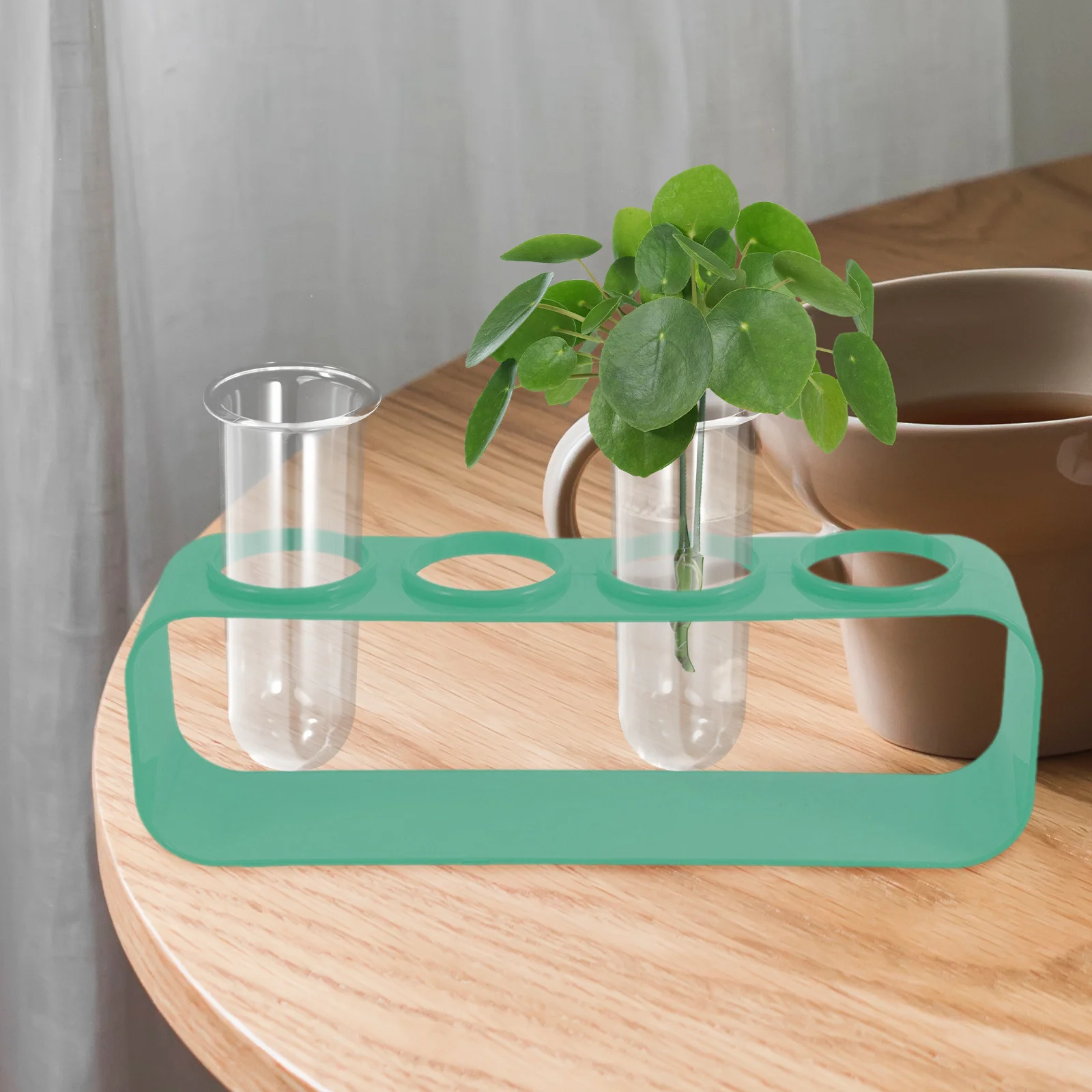 

4Pcs Water Propagation Station Glass Test Tubes for Plants Transparent Vases Small Terrariums Easy Care Indoor Garden Decoration