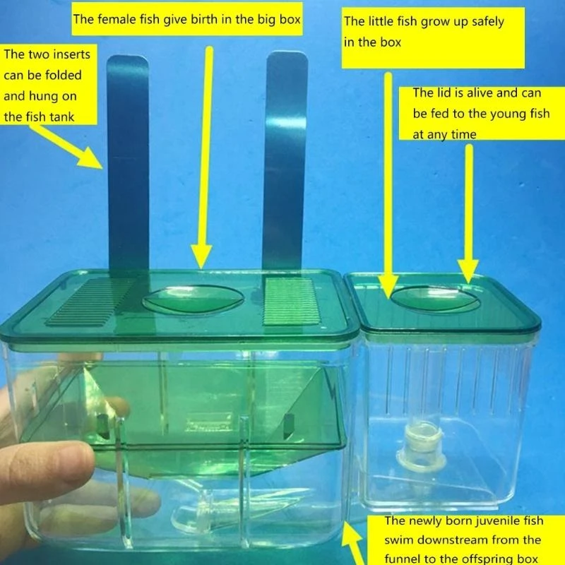 J1ha Aquarium Breeder Box Fishtanks Privator Hatchery Small Fish Finis