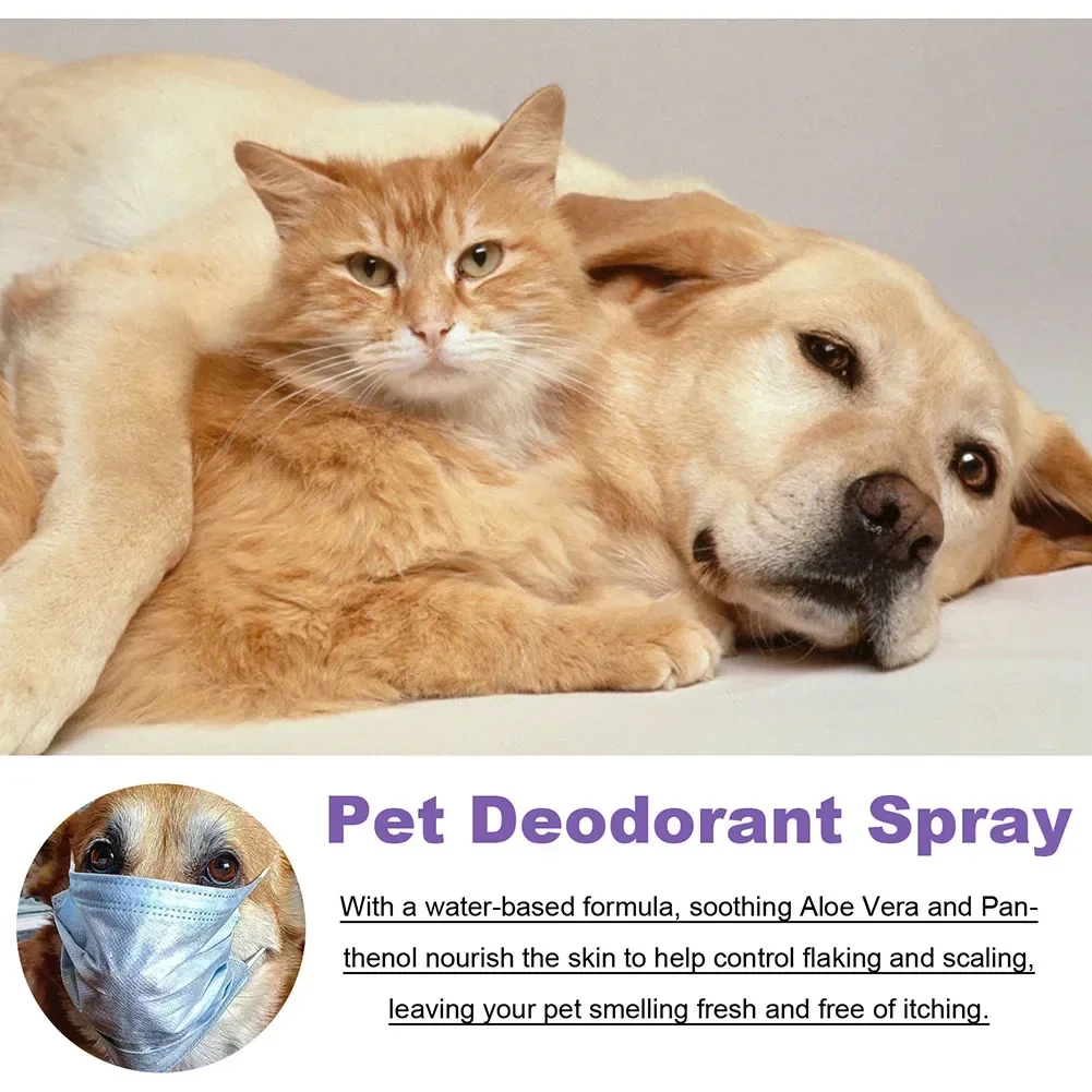Desodorierungsspray für Haustiere, 50 ml, Hundeparfüm, Lavendelöl, Desodorierungsspray, Anti-Juckreiz, duftendes Schönheitspflege für Katzen und Hunde – Detail 6
