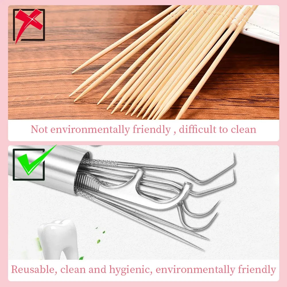 304 Stainless Steel Toothpick Set Reusable Toothpicks Tooth Flossing Tartar Removal Tool Portable Teeth Oral Cleaning Tools