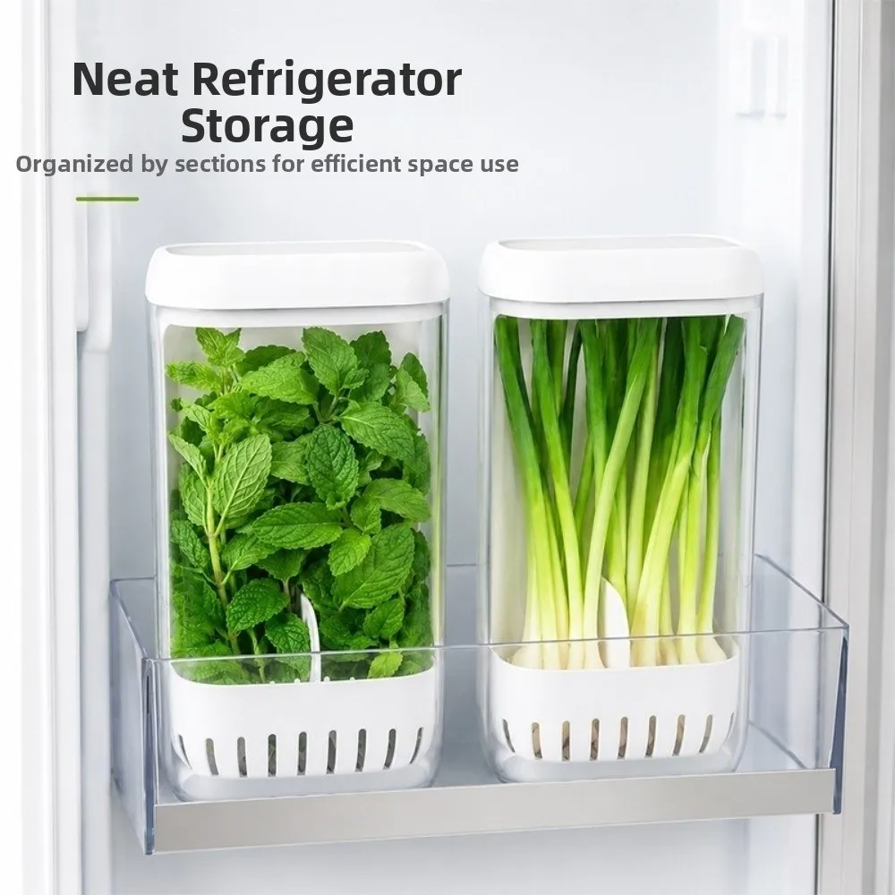 Clear Cilantro Hydroponic Box Upright Space Saving Vegetable Container With Lid Preservation Herb Lettuce Keeper