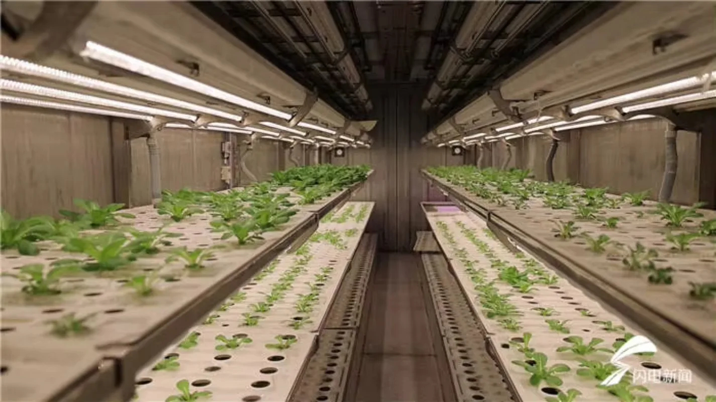 Serra agricola per contenitori per piante con sistema di coltivazione microgreen commerciale per coltura idroponica per interni