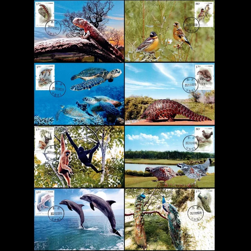 8 PCS, China, 2021-28,  National Key Protected Wildlife, Maximum Postcard