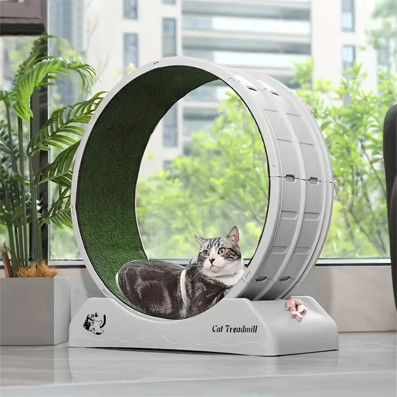 1pc Cat Treadmill - Silent Exercise Wheel for Indoor Cats, Non-Electric Pet Fitness Equipment