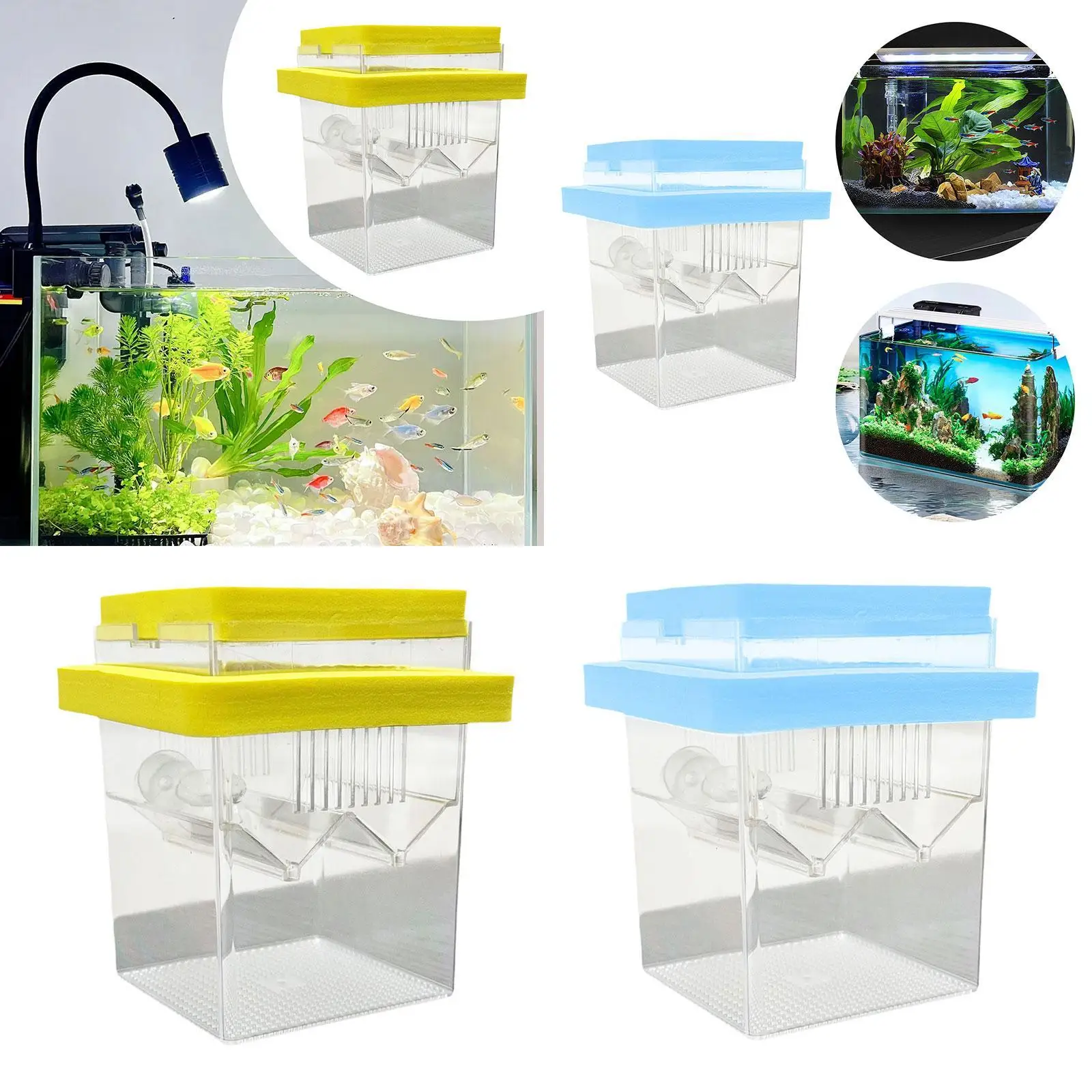 Schwimmende Fischzuchtbox Fischbrutkasten Aquarium-Inkubator Kleiner Aquarium-Inkubator Isolationsbox für Clownfische