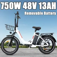 BAOLUJIE DZ2030 48V 13AH Removable Battery Dual Disc Brake 7 Speed Folding Adult Camping 20 Inch Off-Road Electric Bike