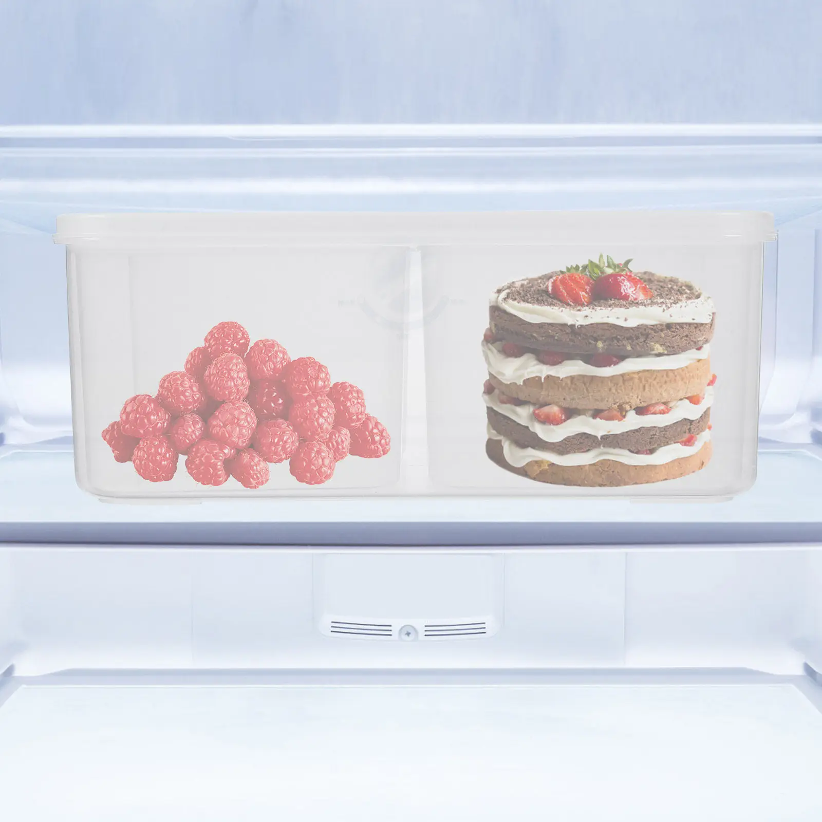 1Set Refrigerator Keeping Storage Box Organizer For Fridge Food Storage Kitchen Small 4-Compartment Transparent
