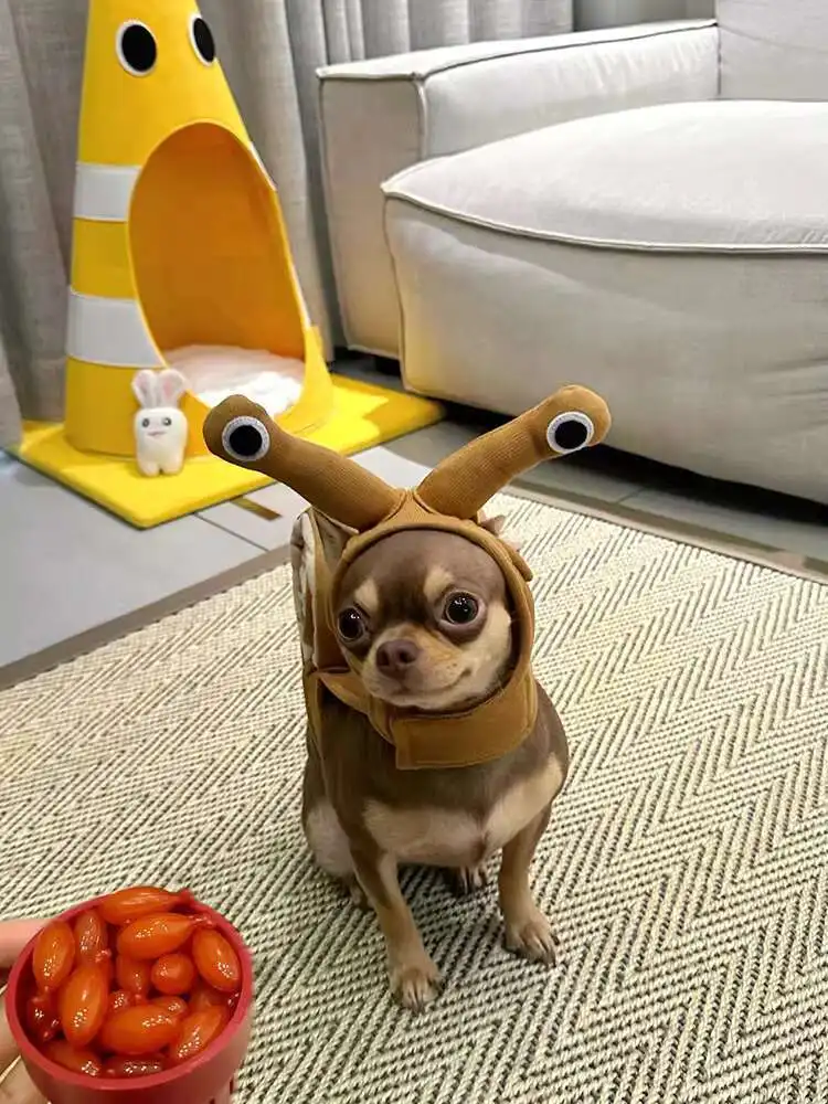 Ropa para mascotas, disfraz de caracol bonito, ropa para perros, Otoño Invierno, fiesta diaria, gatito, vestido creativo divertido