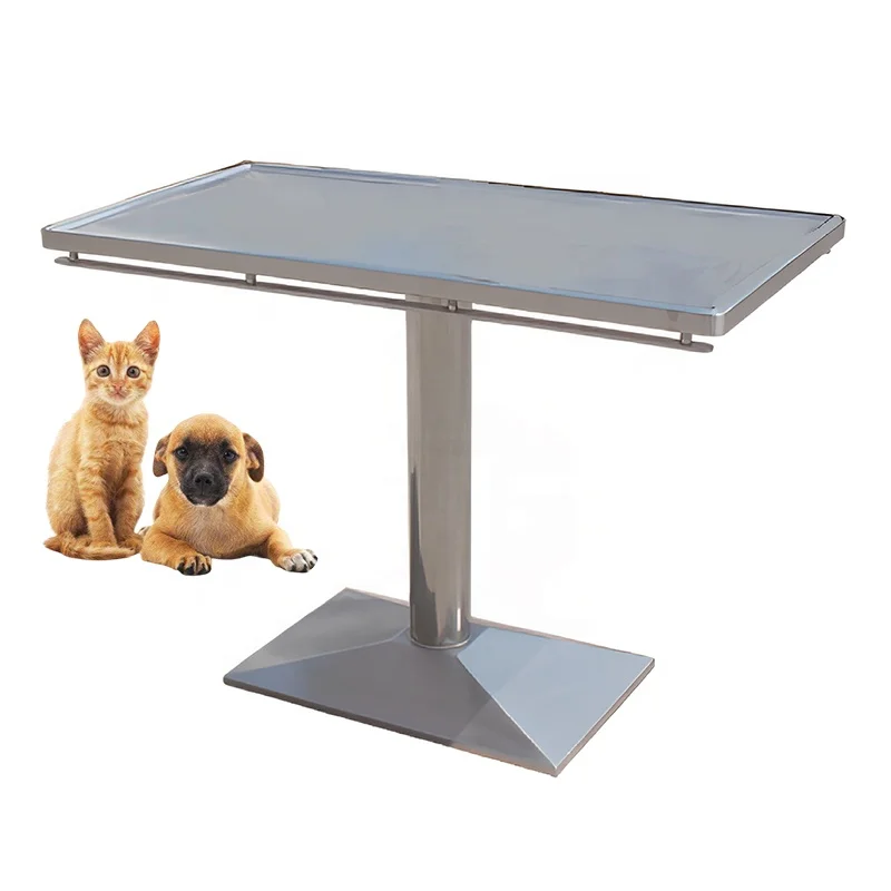 Veterinary Stainless Steel Operating Examination Table Simple Pet Diagnosis Treatment Table